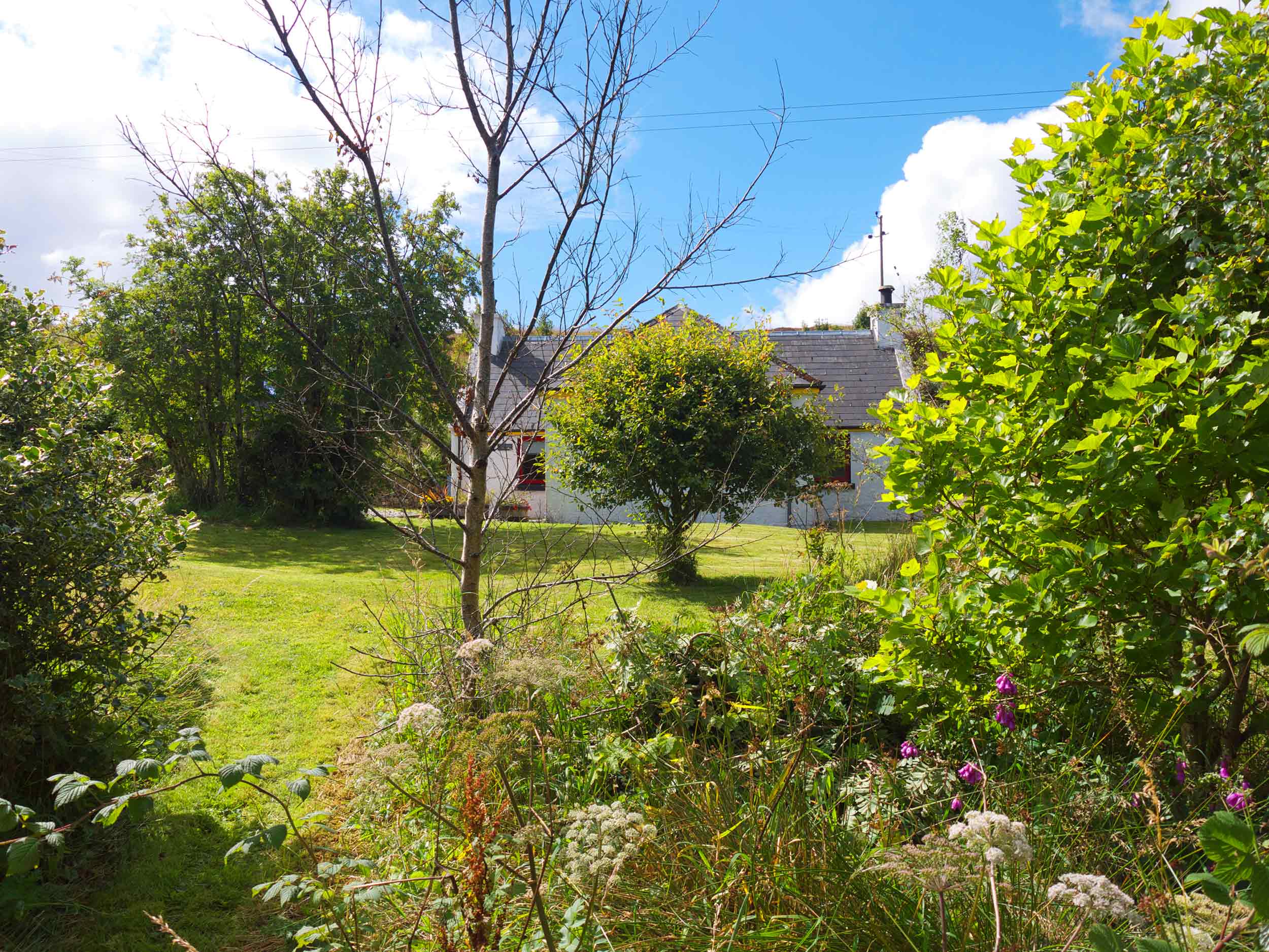 Araucaria Croft Skye Blossom Cottage self catering accommodation in Dunvegan with private gardens